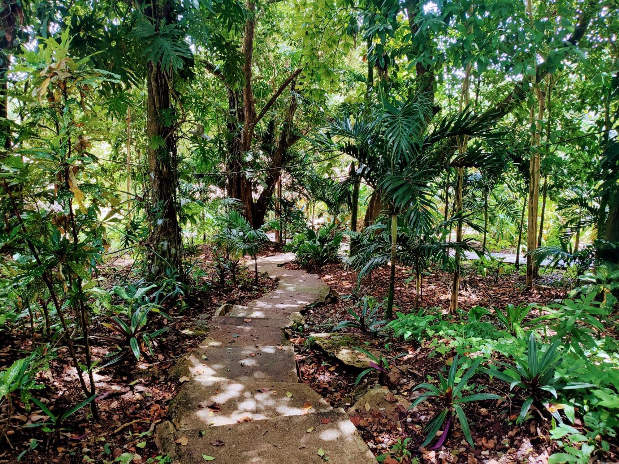 Maya Mountain Lodge سان إجناسيو المظهر الخارجي الصورة