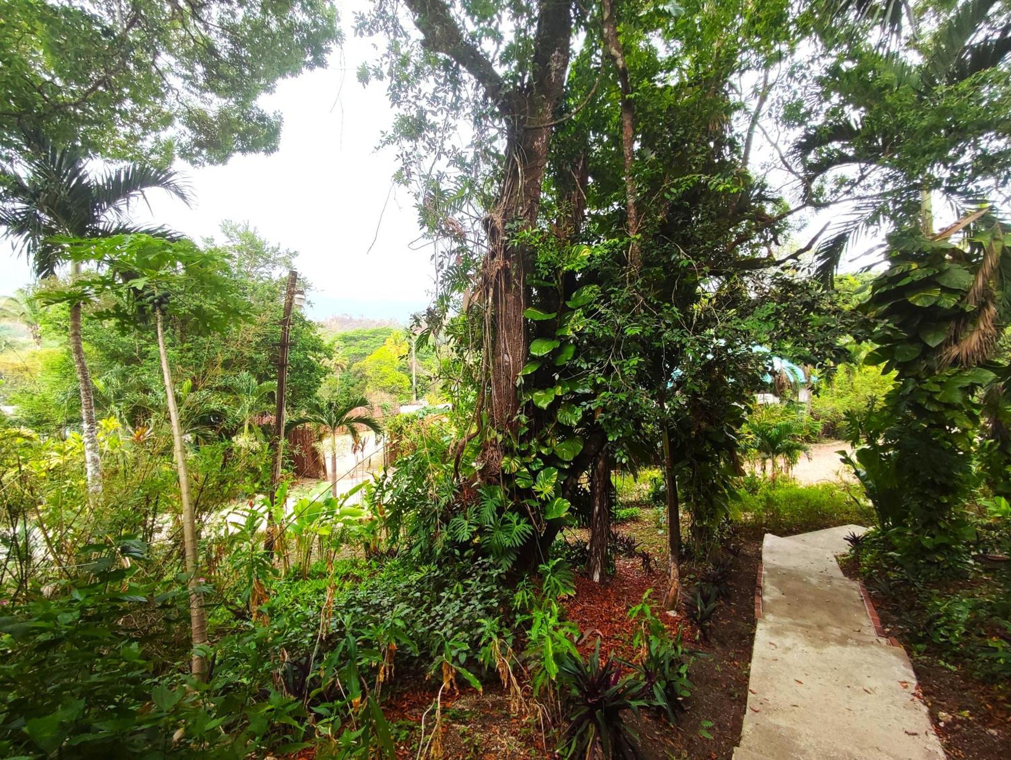 Maya Mountain Lodge سان إجناسيو المظهر الخارجي الصورة