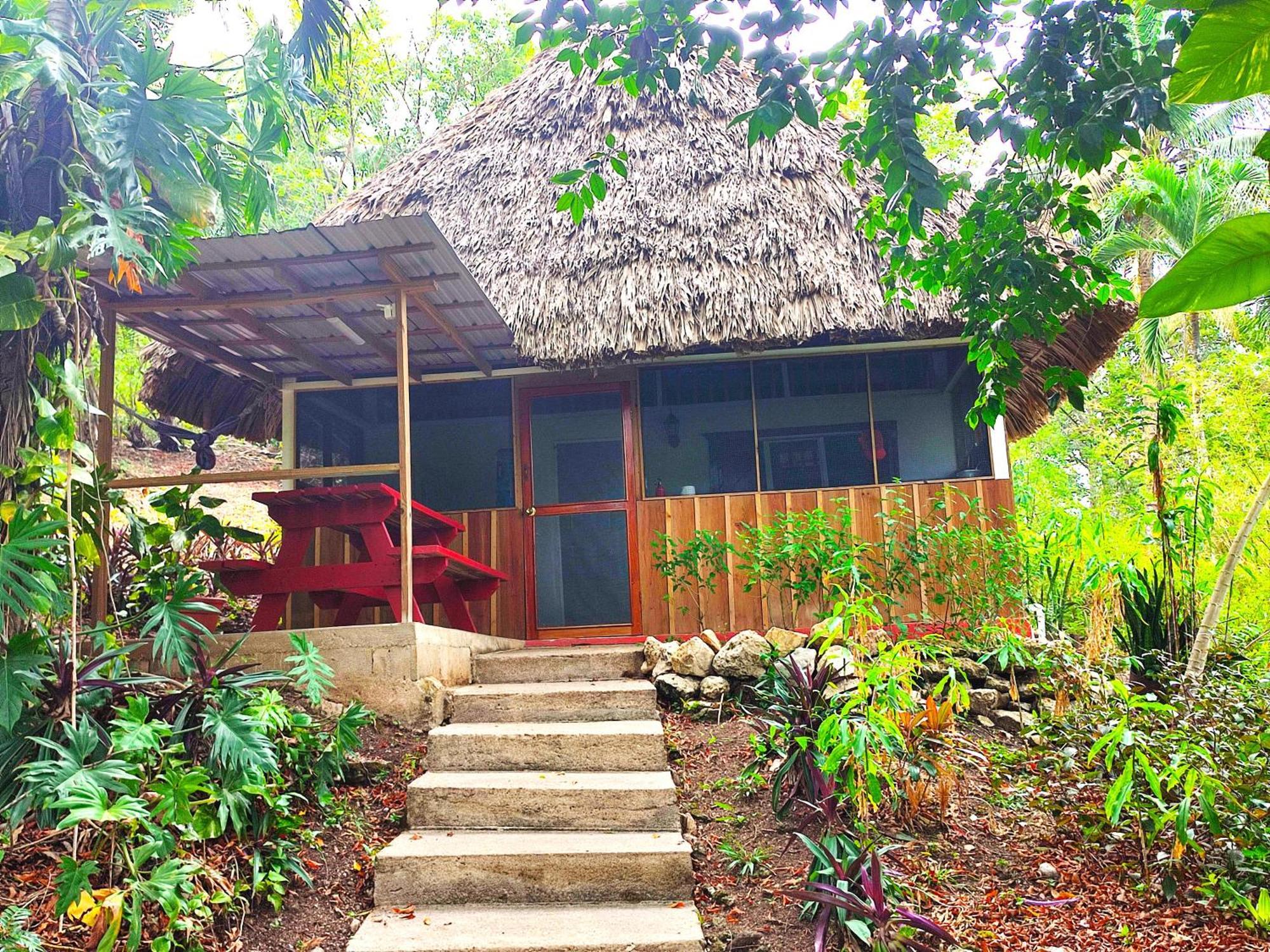 Maya Mountain Lodge سان إجناسيو المظهر الخارجي الصورة
