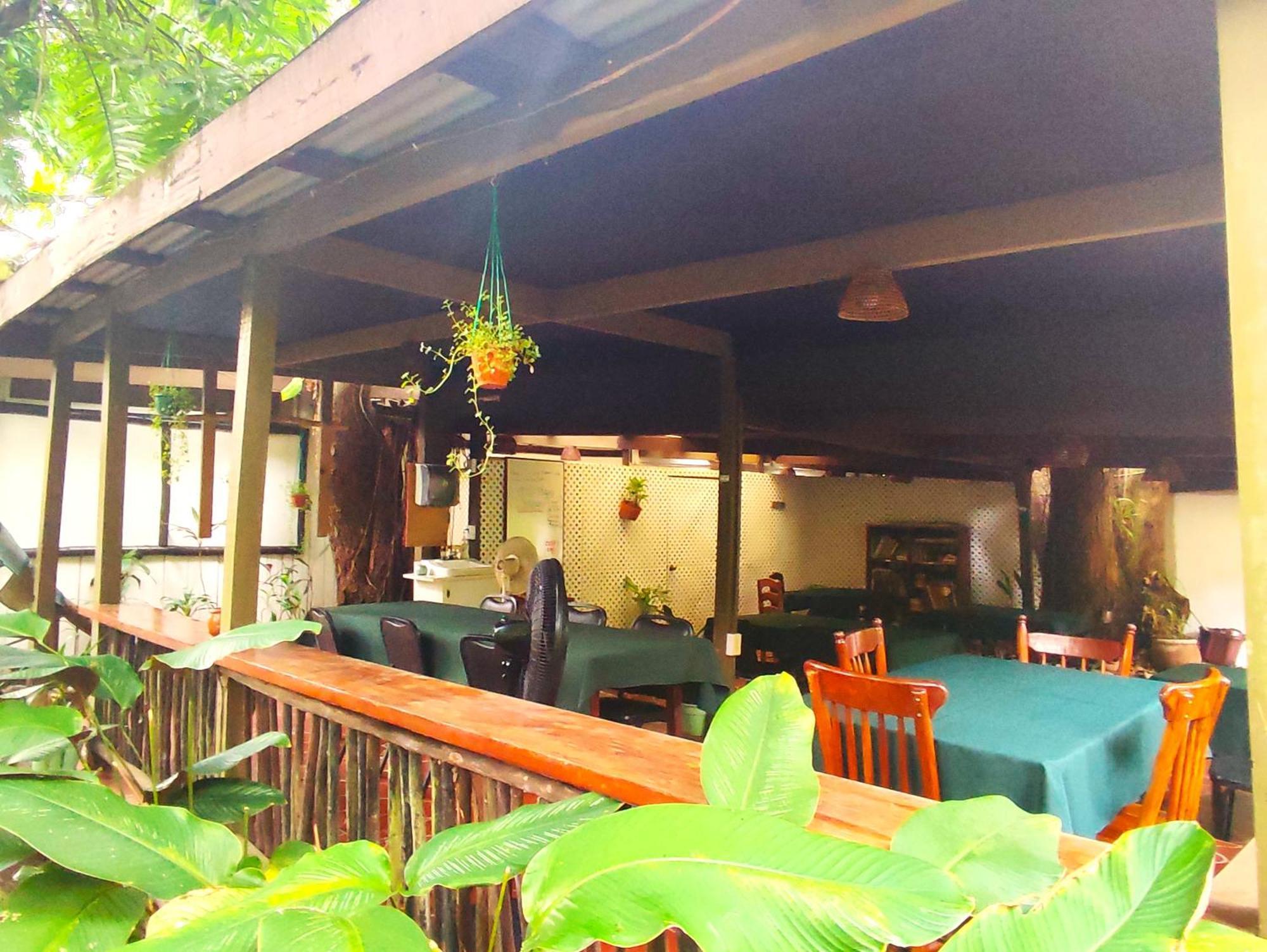Maya Mountain Lodge سان إجناسيو المظهر الخارجي الصورة