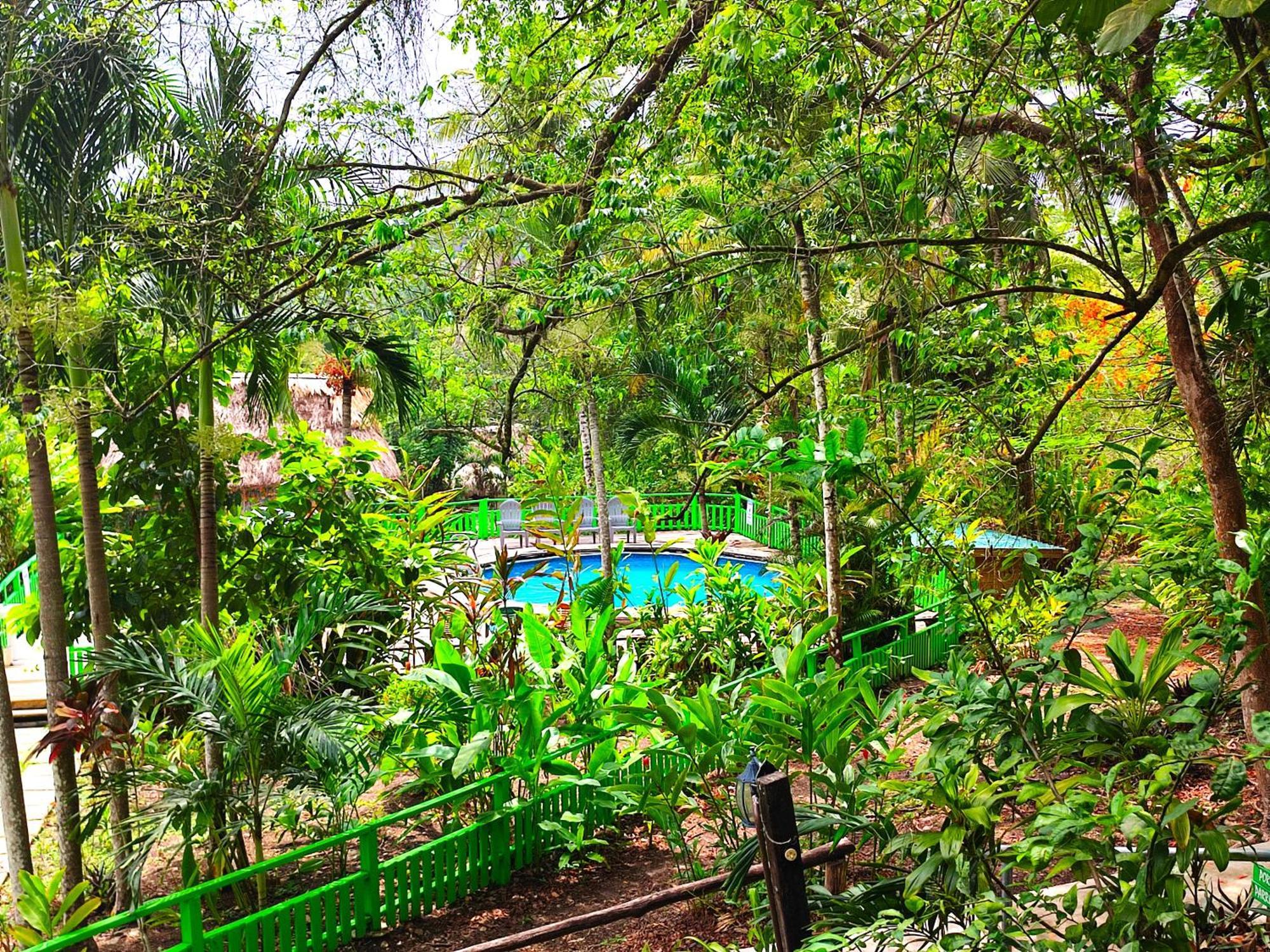 Maya Mountain Lodge سان إجناسيو المظهر الخارجي الصورة